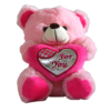 Pink teddy bear stuffed soft toys plushies in small, medium and large sizes