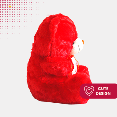 Fall in love with our adorable red teddy bear plushie with heart.